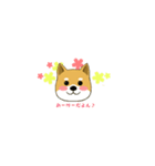 柴のRINさんのあれこれ（個別スタンプ：10）
