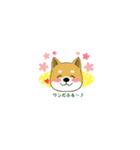 柴のRINさんのあれこれ（個別スタンプ：13）
