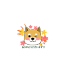 柴のRINさんのあれこれ（個別スタンプ：14）