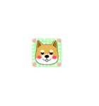 柴のRINさんのあれこれ（個別スタンプ：16）