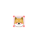 柴のRINさんのあれこれ（個別スタンプ：20）