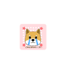 柴のRINさんのあれこれ（個別スタンプ：21）