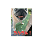 ひなくんから、ひとこと。（個別スタンプ：4）