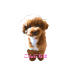 ブン太だよ‼️（個別スタンプ：3）