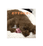 ブン太だよ‼️（個別スタンプ：5）