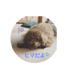 ブン太だよ‼️（個別スタンプ：6）