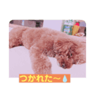 ブン太だよ‼️（個別スタンプ：7）