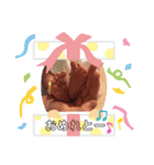 赤ちゃん にいな（個別スタンプ：3）