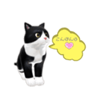 ネコの可愛いあいさつ（個別スタンプ：2）