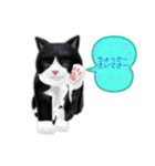ネコの可愛いあいさつ（個別スタンプ：4）