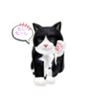 ネコの可愛いあいさつ（個別スタンプ：5）