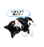ネコの可愛いあいさつ（個別スタンプ：7）
