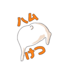 ハムモモスタンプ（個別スタンプ：17）