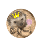 ハリ山トゲ子（個別スタンプ：7）
