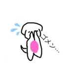 マルチーズのキララちゃん（個別スタンプ：5）