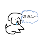 マルチーズのキララちゃん（個別スタンプ：13）