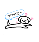 マルチーズのキララちゃん（個別スタンプ：14）