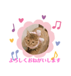 おはちゃん1（個別スタンプ：1）
