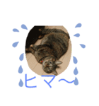 おはちゃん1（個別スタンプ：2）