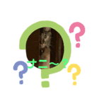 おはちゃん1（個別スタンプ：3）