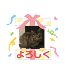 おはちゃん1（個別スタンプ：7）