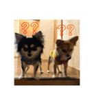 キキトンの日常2（個別スタンプ：2）