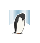 どうぶつゆるイラスト（個別スタンプ：12）