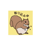どうぶつゆるイラスト（個別スタンプ：24）