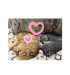 しんご♡フク（個別スタンプ：2）