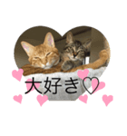 しんご♡フク（個別スタンプ：3）