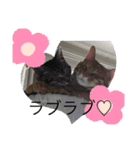 しんご♡フク（個別スタンプ：4）