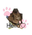 しんご♡フク（個別スタンプ：7）