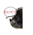 むぎ だょ〜ん（個別スタンプ：2）