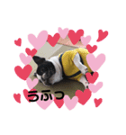 むぎ だょ〜ん（個別スタンプ：4）