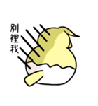 鳥のたまご-1（個別スタンプ：30）