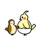 鳥のたまご-1（個別スタンプ：35）
