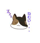とあるみけねこスタンプ（個別スタンプ：2）