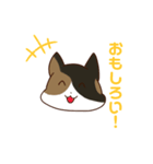 とあるみけねこスタンプ（個別スタンプ：4）