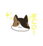 とあるみけねこスタンプ（個別スタンプ：5）