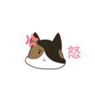 とあるみけねこスタンプ（個別スタンプ：6）