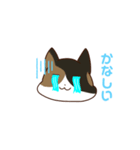 とあるみけねこスタンプ（個別スタンプ：8）
