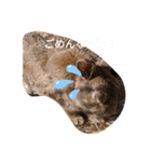 ウザギのスタンプ（個別スタンプ：5）