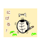 ネコになりたいカメ3 一目惚れ編（個別スタンプ：25）