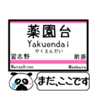 松戸-津田沼 駅名 今まだこの駅です！（個別スタンプ：21）