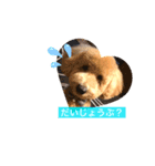 むぎかわいすぎ スタンプ（個別スタンプ：8）