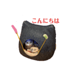 ちびタン日記（個別スタンプ：1）