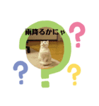ちびタン日記（個別スタンプ：4）