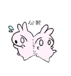 wani's stamps（個別スタンプ：14）