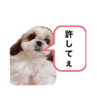 友達の人達（個別スタンプ：3）