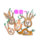 パキポマン！！（個別スタンプ：3）